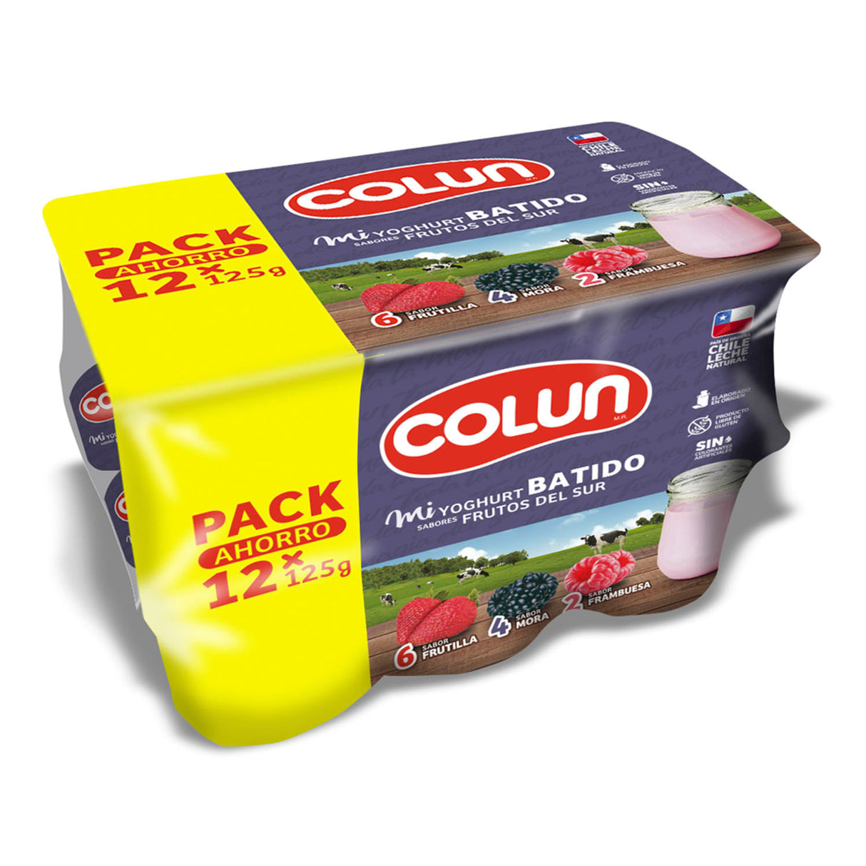 Yoghurt pack Frutos del Sur 12x125 gr - 7802920009308