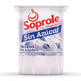 Trozos Arandano - 7802900000967