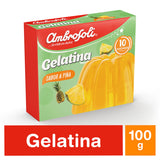 Gelatina 100 gr 1 - 7802200361096