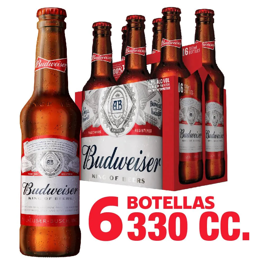 Botella X6 330cc - 7891991014779