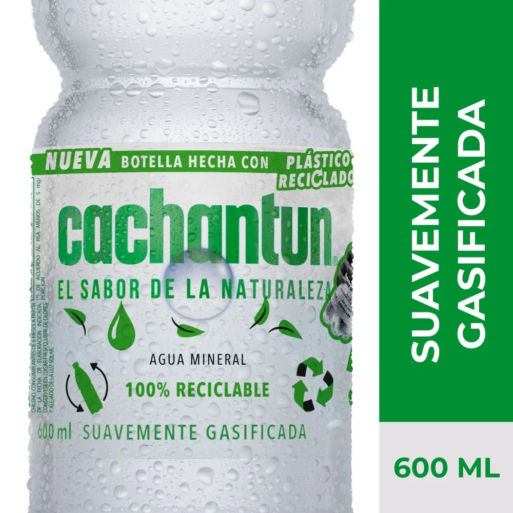 Gasificada 600ml - 7801620009700