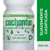 Gasificada 600ml - 7801620009700