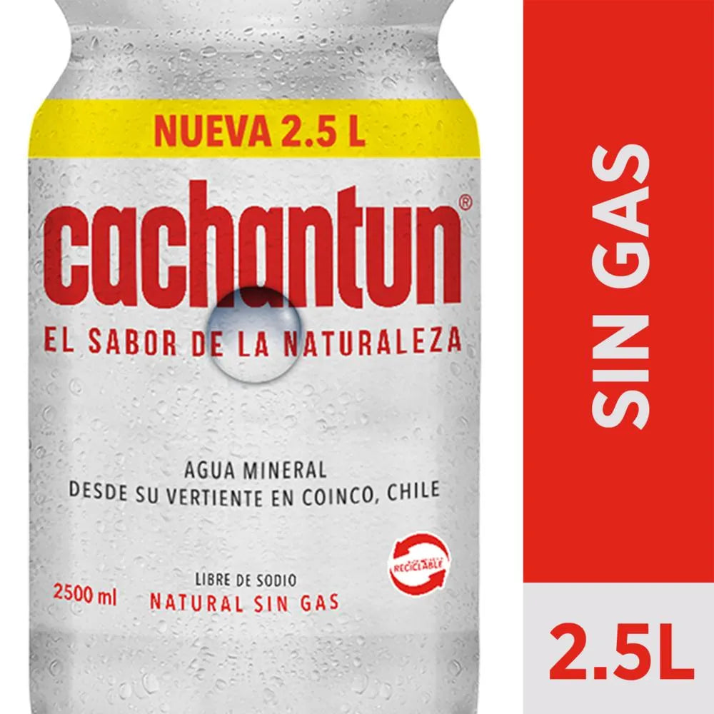 Sin Gas 2.500 ml - 7801620005894